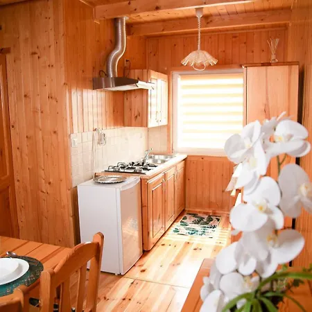 Letniskowe Bursztynek * Грзибово